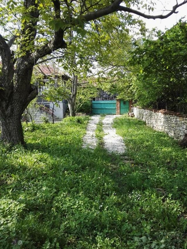 Beefree Gorsko Slivovo Exterior photo