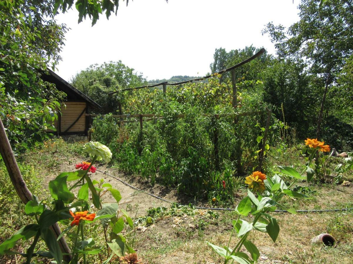 Beefree Gorsko Slivovo Exterior photo